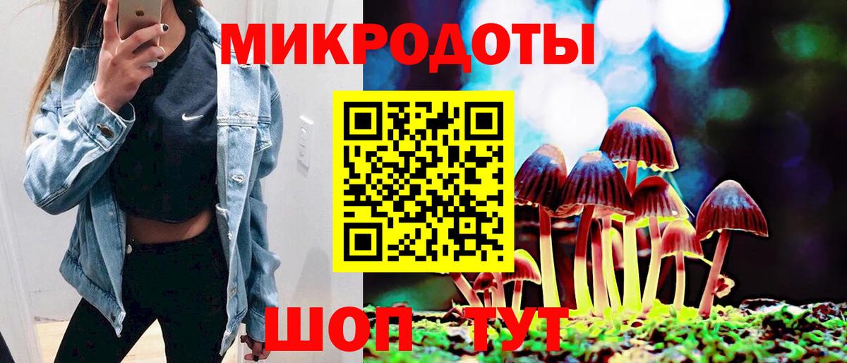Галлюциногенные грибы прущие грибы Ростов Великий